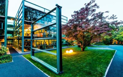 What Companies Own Which Watch Brands?