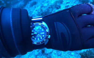 Dive Watch 101