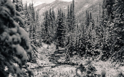 10 and 2: Winter Comes Quickly