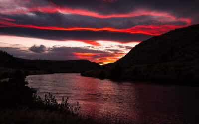 10 and 2: Bear Trap Beckons