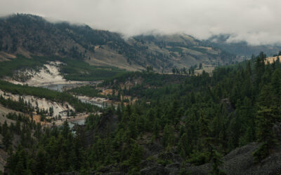 10 and 2: Getting Lost in the Lamar