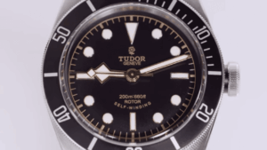 Tudor Black Bay Heritage