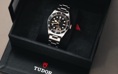 The Tudor Black Bay 79230n